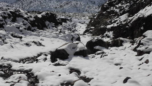 山雪的风景和自然在智利