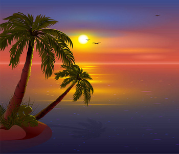 热带岛屿上的浪漫日落。棕榈树, 海, 黑暗的天空和海鸥