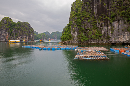 浮动的渔村