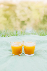 高酒杯的美味新鲜榨橙汁站在户外野餐在炎热的夏天天