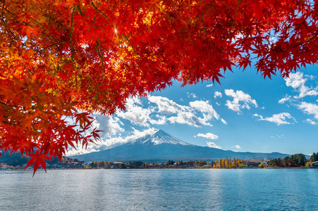 日本河口湖秋季和富士山