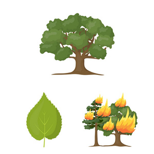 森林和自然卡通图标集合中的设计。森林生命矢量符号股票网页插图