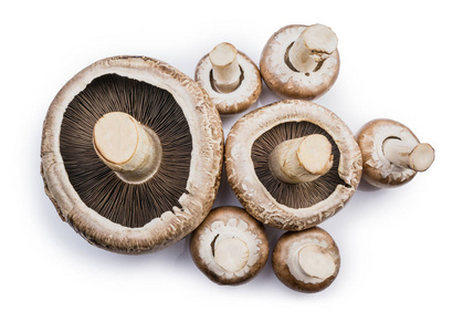 白色背景的鲜褐色 portabello 蘑菇组