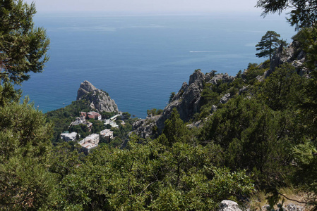 一望无际的黑海和陡峭的悬崖背景下的小绿树
