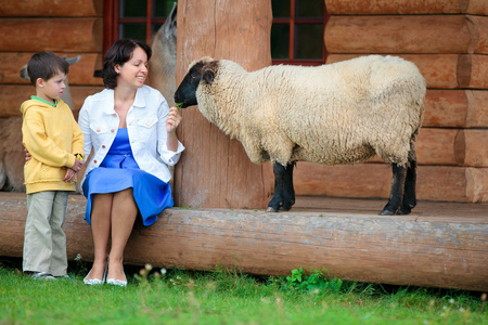 年轻女子和她的小儿子喂羊