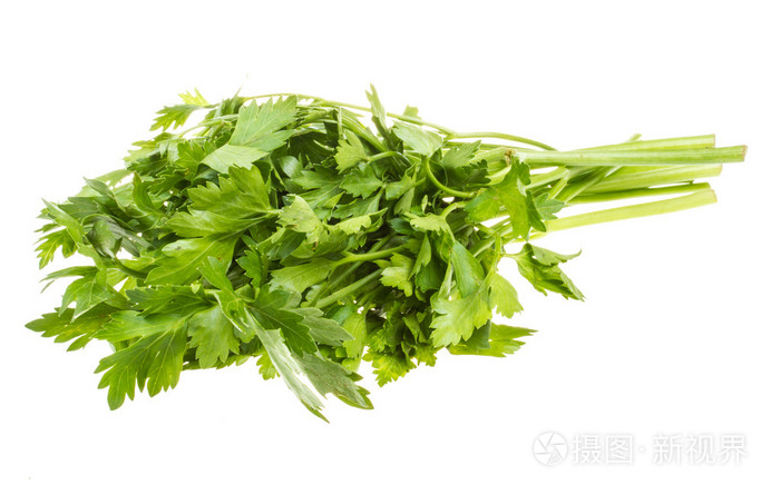 欧芹在白色背景上的一大堆