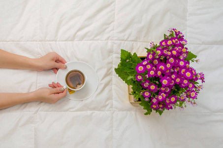 妇女的胳膊用杯子红茶和紫色的花在白色床上