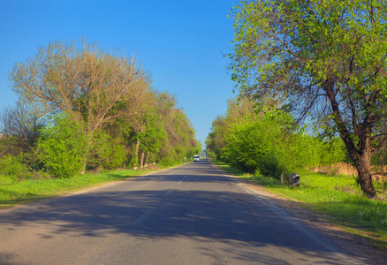 穿过绿树的道路