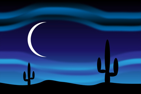 沙漠在月明之夜