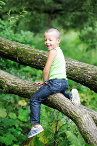 小男孩坐在一根树枝，在公园里