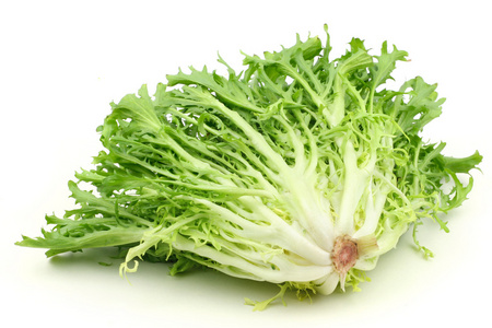 卷发 escarole 菊苣叶