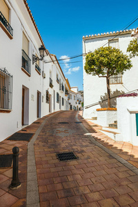 迷人的白色村庄在安大路西亚与白色房子, 西班牙