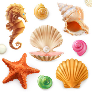 贝壳, 蜗牛, 软体动物, 海星, 海马。3d 图标集