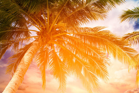 椰树和热带海滩上的天空在夏天的时候, 温暖的色调
