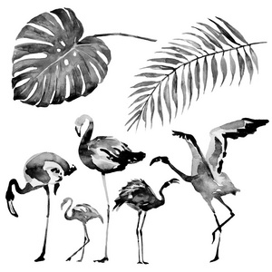美丽的热带棕榈叶和火烈鸟, 水彩插图