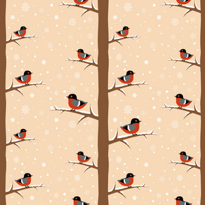冬季布尔芬奇鸟无缝模式
