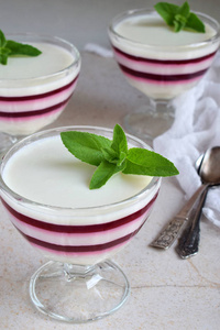 智世陶。分层香草牛奶浆果甜点。Pannacotta 的玻璃杯里有草莓果冻。传统的意大利甜点。复制空间
