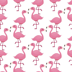 火烈鸟无缝花纹粉红鸟背景热带动物园壁纸