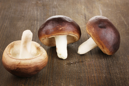 新鲜蘑菇上木表特写