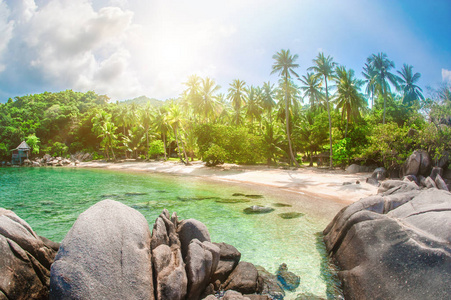 美丽的热带海滩在异国情调的海岛与棕榈树。自然背景