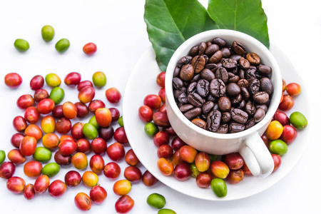 烤咖啡豆和红色成熟咖啡豆在白色杯子里