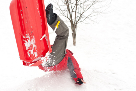 男孩跟鲍勃在雪落