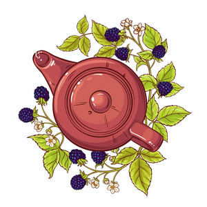 黑莓茶在茶壶插图白色背景