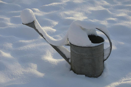 冬天在雪地里浇罐头