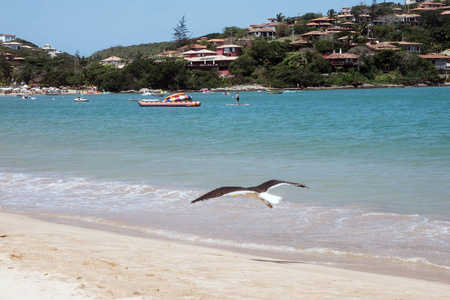 Ferradura 海滩在布基亚斯, 巴西
