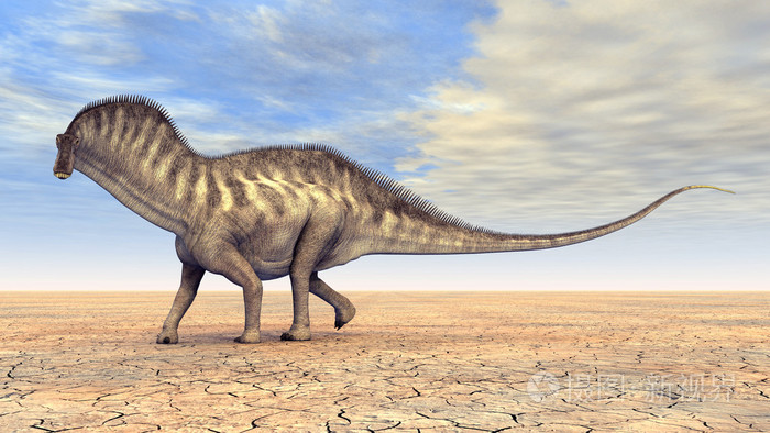 恐龙amargasaurus