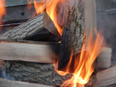 木头上的火在树林里燃烧