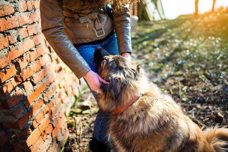 年轻女子在一个令人愉快的春日玩高加索牧羊犬