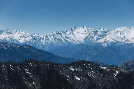 在阳光明媚的天气下, 落基山脉的积雪山峰的景观。自然与旅行的概念