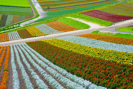 在北海道的花园