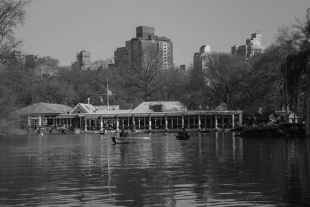 Invierno soleado en Central Park