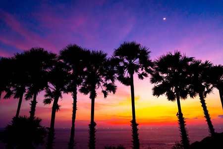 剪影棕榈树与美丽的黄昏日落天空过滤器效果处理风格
