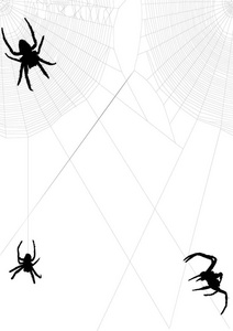与孤立在白色背景上的蜘蛛网上的插图