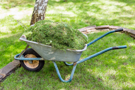 在花园修剪草坪后, 旧手推车满载着割在绿草地上。清洁和园艺