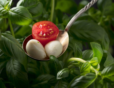 迷你芝士干酪球, 樱桃西红柿和绿色罗勒。传统意大利菜