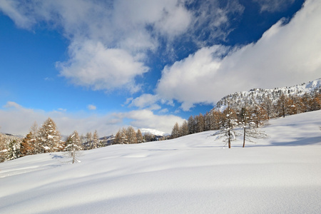 大雪后的意大利阿尔卑斯山冬季景观