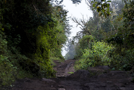 Salkantay 徒步旅行秘鲁