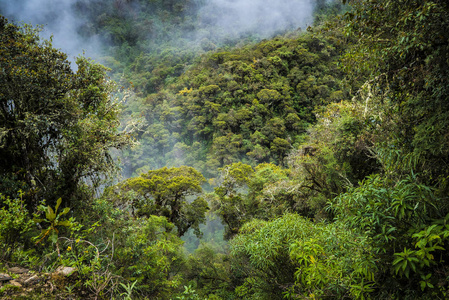 Salkantay 徒步旅行秘鲁