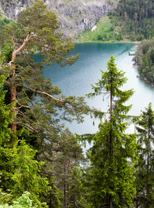 Plansee Summer Landscape奥地利。