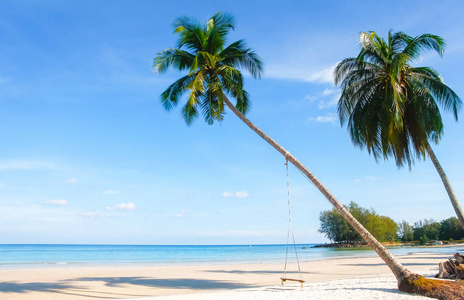 美丽的热带海滩，棕榈树在日出的海景。在夏天背景视图海滩