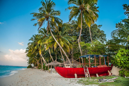 热带海滩 Maldives.Tropical Paradise 在马尔代夫与棕榈树 沙滩，蔚蓝的天空