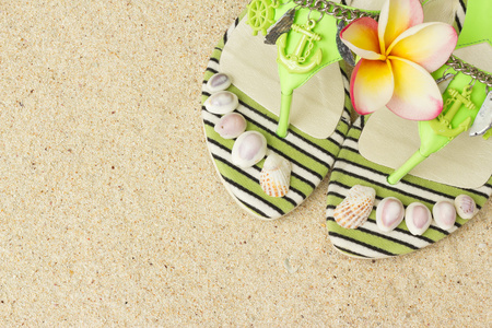 凉鞋 贝壳和素馨在沙滩上