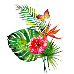 美丽的热带棕榈叶和花朵, 水彩