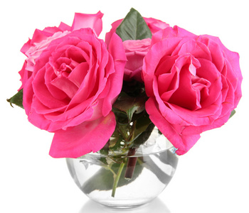 美丽的粉红色玫瑰在花瓶上白色隔离