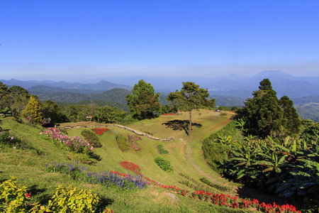 在蔚蓝的天空中花卉园山度假村