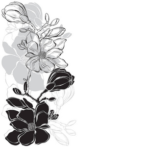 花设计与木兰在白色背景。矢量插图